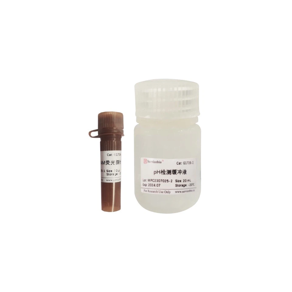 BCECF, AM Fluorescencijski PH komplet