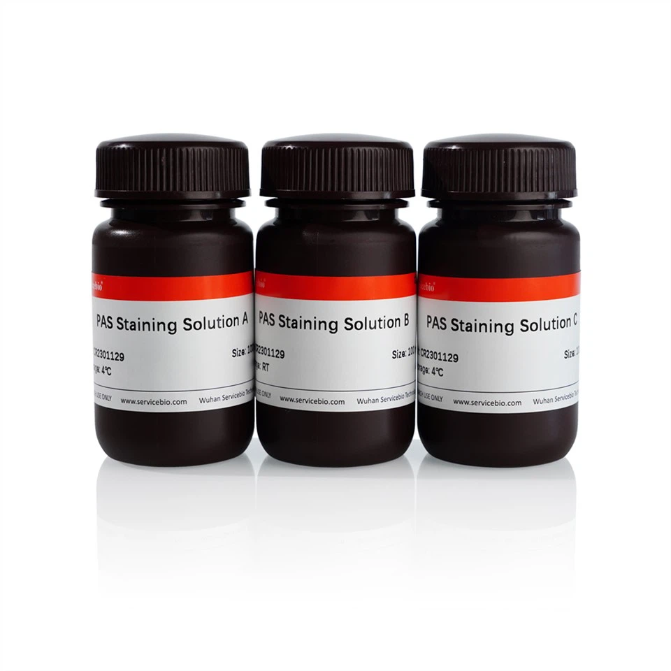 PAS Staining Kit