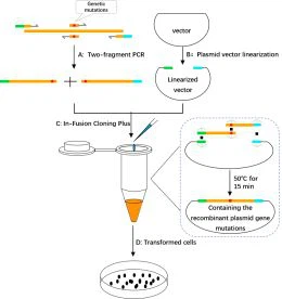 1721976915537673114 1721976915537673114