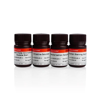 Setovi za bojenje po Gramu