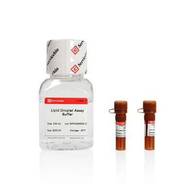 Lipid Droplets Fluorescence Assay Kit