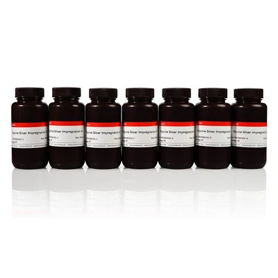 Komplet za bojenje srebrom glicinom